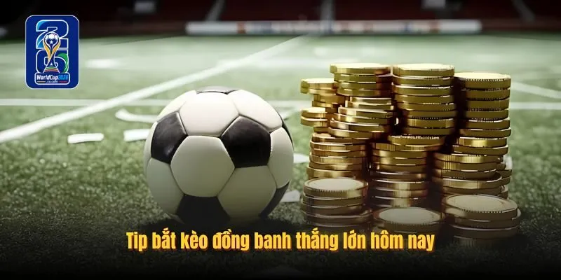 Bật mí mẹo bắt kèo đồng banh hiệu quả Bật mí mẹo bắt kèo đồng banh hiệu quả