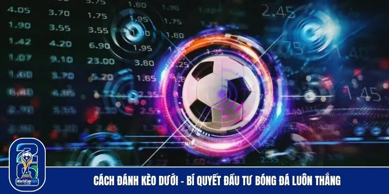 Cách đánh kèo dưới - Bí quyết đầu tư bóng đá luôn thắng