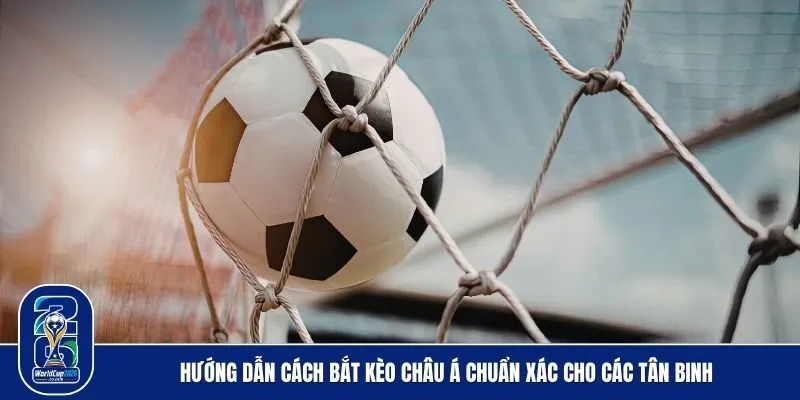 Chia sẻ cách bắt kèo Châu Á bao chuẩn ít người biết