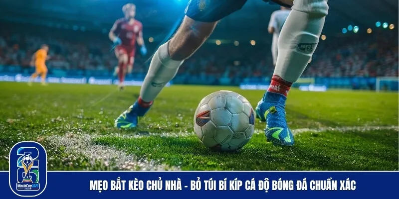 Mẹo bắt kèo chủ nhà - Bỏ túi bí kíp cá độ bóng đá chuẩn xác
